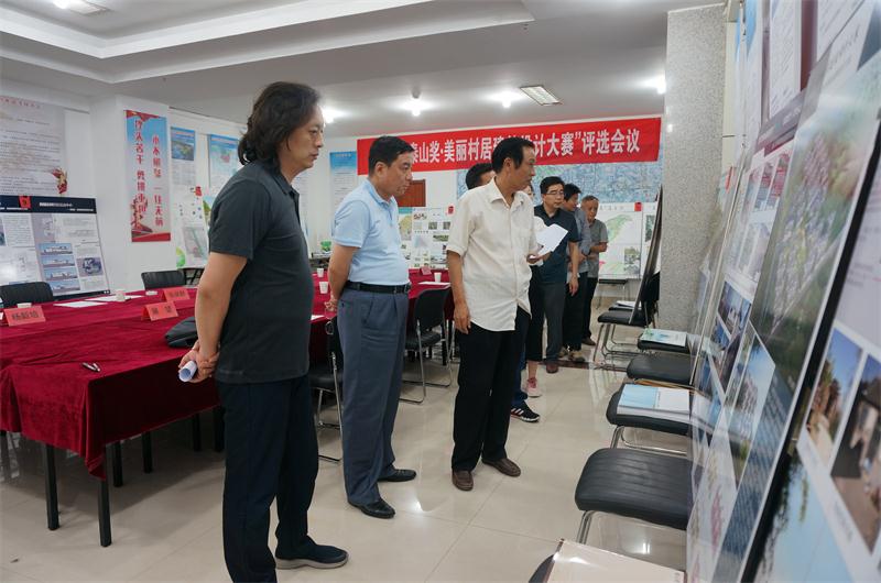 美麗村居設(shè)計大賽風(fēng)云起 八仙過海顯神通(圖6)