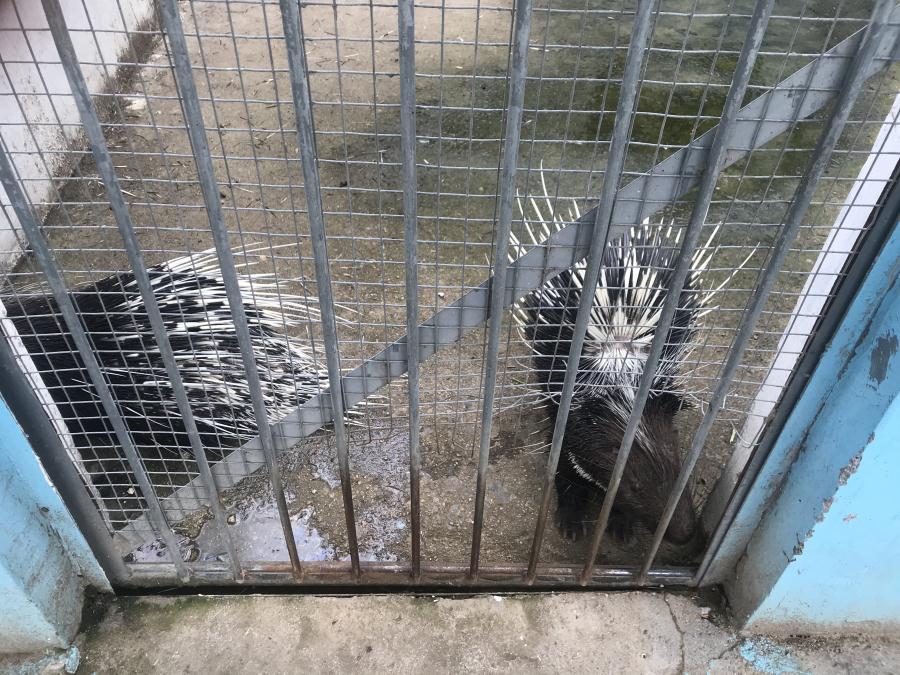 天鵝湖風(fēng)景區(qū)（泰山）速覽！(圖10)