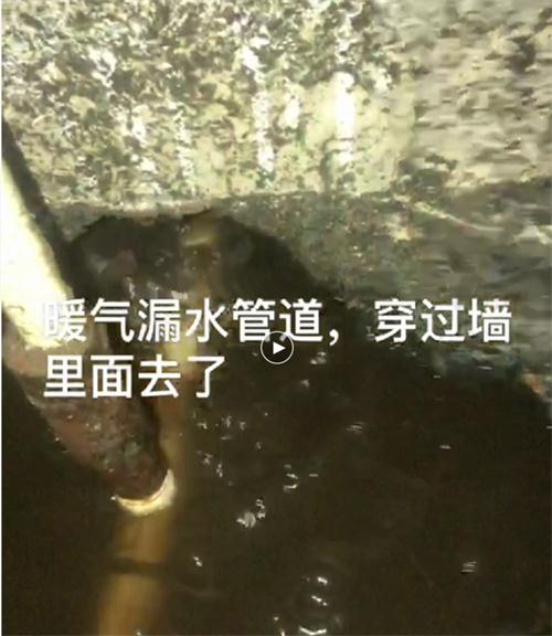 精準(zhǔn)檢測漏水、滲水：客廳、廚房、衛(wèi)生間。。。(圖4)