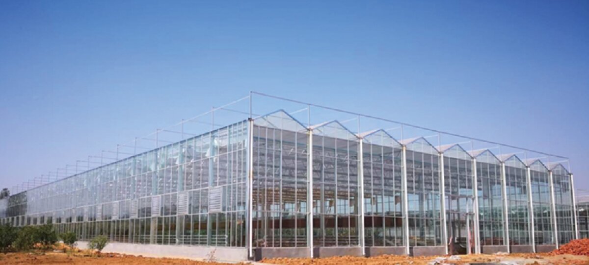 信橋鋼構(gòu)：打卡蒙陰農(nóng)業(yè)溫室大棚、青州黑牛養(yǎng)殖基地！(圖2)